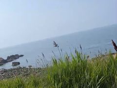 -海岛日记(养马岛店)