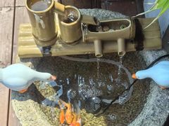 -小茶闲舍·观景商务茶馆(广州塔店)