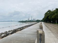 -深圳湾公园(南山区)