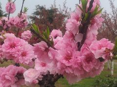 -白塘生态植物园