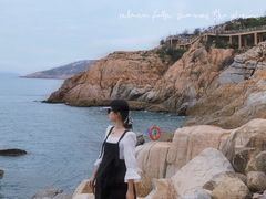 -广东惠东海龟国家级自然保护区