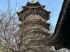 -洋湖国家湿地公园