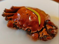 -觀芷隐轩