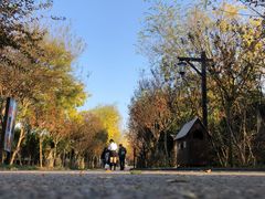 -武汉紫薇都市田园