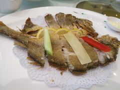 -骏莱海鲜鱼港(五角场店)