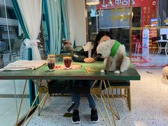 -喵喵咪呀布偶猫咖(春熙路店)