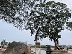-洛阳桥