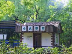 -上海共青森林公园