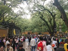 -普陀山风景名胜区-法雨禅寺