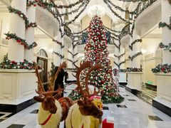 -Salon de Ville浦江汇(上海外滩华尔道夫酒店店)