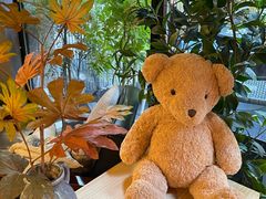 -咖法森林·咖啡  酒吧(天河店)