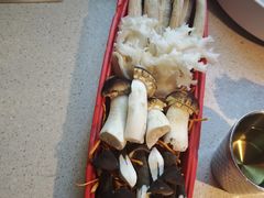 -小龙坎火锅(全球旗舰店)
