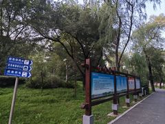 -长春市南湖公园