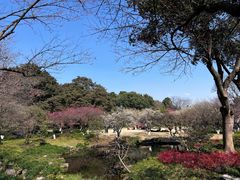 -杭州植物园
