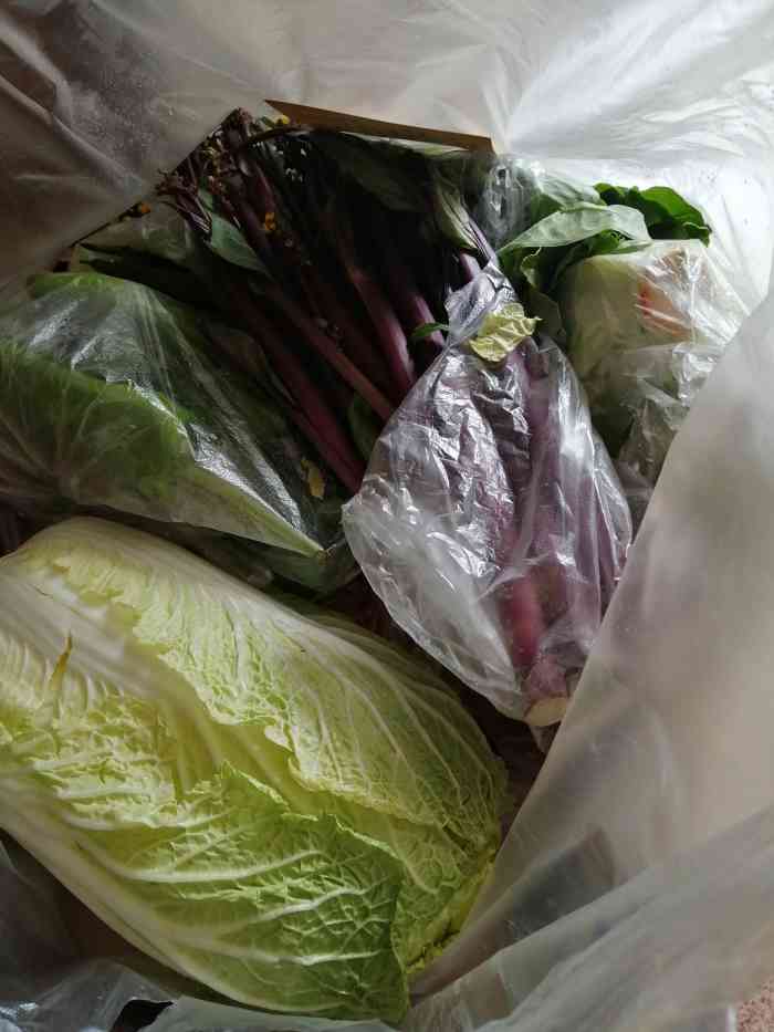 菜老包(南湖生鲜店)-"菜老包家里菜品比较新鲜,送货比较及时,这.