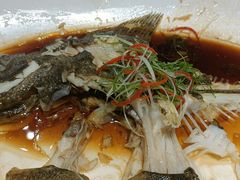 -大蓉和(双楠店)