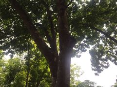-南宁南湖公园