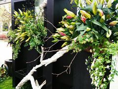 -上海鲜花港