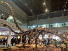 -自贡恐龙博物馆