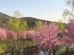 -石塘人家