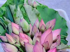 -循礼门鲜花花市(武汉循礼门店)