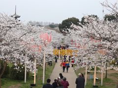 -东湖磨山景区