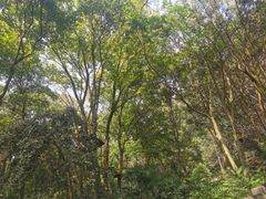 -WeLope紫金山探险公园