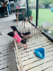 -小蜜蜂农场(凯德七宝购物广场店)