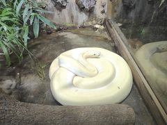 -上海大自然野生昆虫馆(东方明珠·爬宠昆虫探索中心)