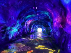 -栾川竹海野生动物园