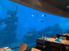 -海棠湾洲际-涛·海底餐厅·美人鱼·自助餐·海底隧道