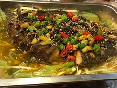 -沈胖子音乐烤吧·炒菜·龙虾(环城东路店)
