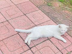 -天和晟烤鸭店(玉泉西街店)