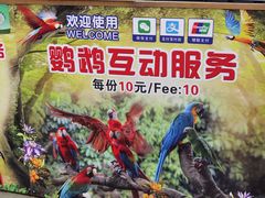 -广州长隆飞鸟乐园