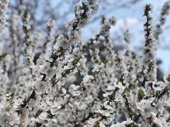 -杭州城北体育公园