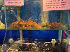 -明记烧鱼美味店