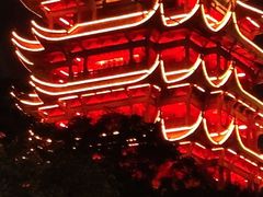 -郑记•不夜城烧烤•龙虾•虾蟹(黄鹤楼店)