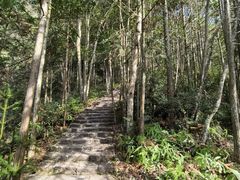-龙湾潭国家森林公园