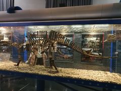 -国家自然博物馆