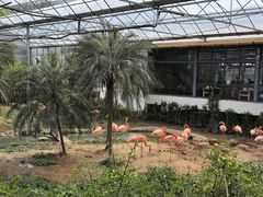 -无锡动物园·太湖欢乐园