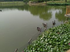 -燕郊植物园