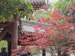 -莲湖公园