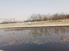 -尚贤河湿地