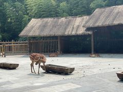 -金沙遗址博物馆