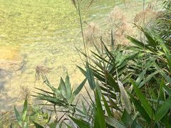 -南海湾森林生态园