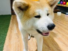 -YCHL Studios健身工作室(市二宫店)