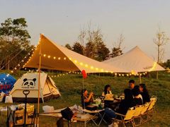 -春花秋色城市公园