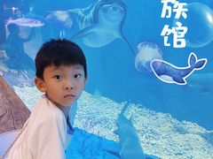 -华夏文旅海洋公园