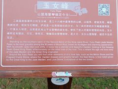 -武夷山风景名胜区-玉女峰