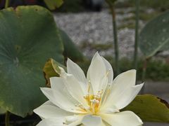 -海窝子古镇